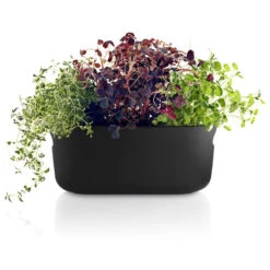 Eva Solo Selvvandende Herb Organiser Sort