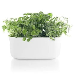 Eva Solo Selvvandende Herb Organiser Hvid